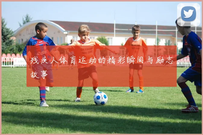 残疾人体育运动的精彩瞬间与励志故事
