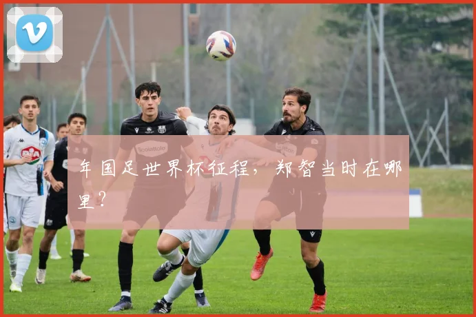 年国足世界杯征程，郑智当时在哪里？
