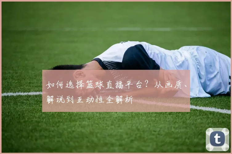 如何选择篮球直播平台？从画质、解说到互动性全解析
